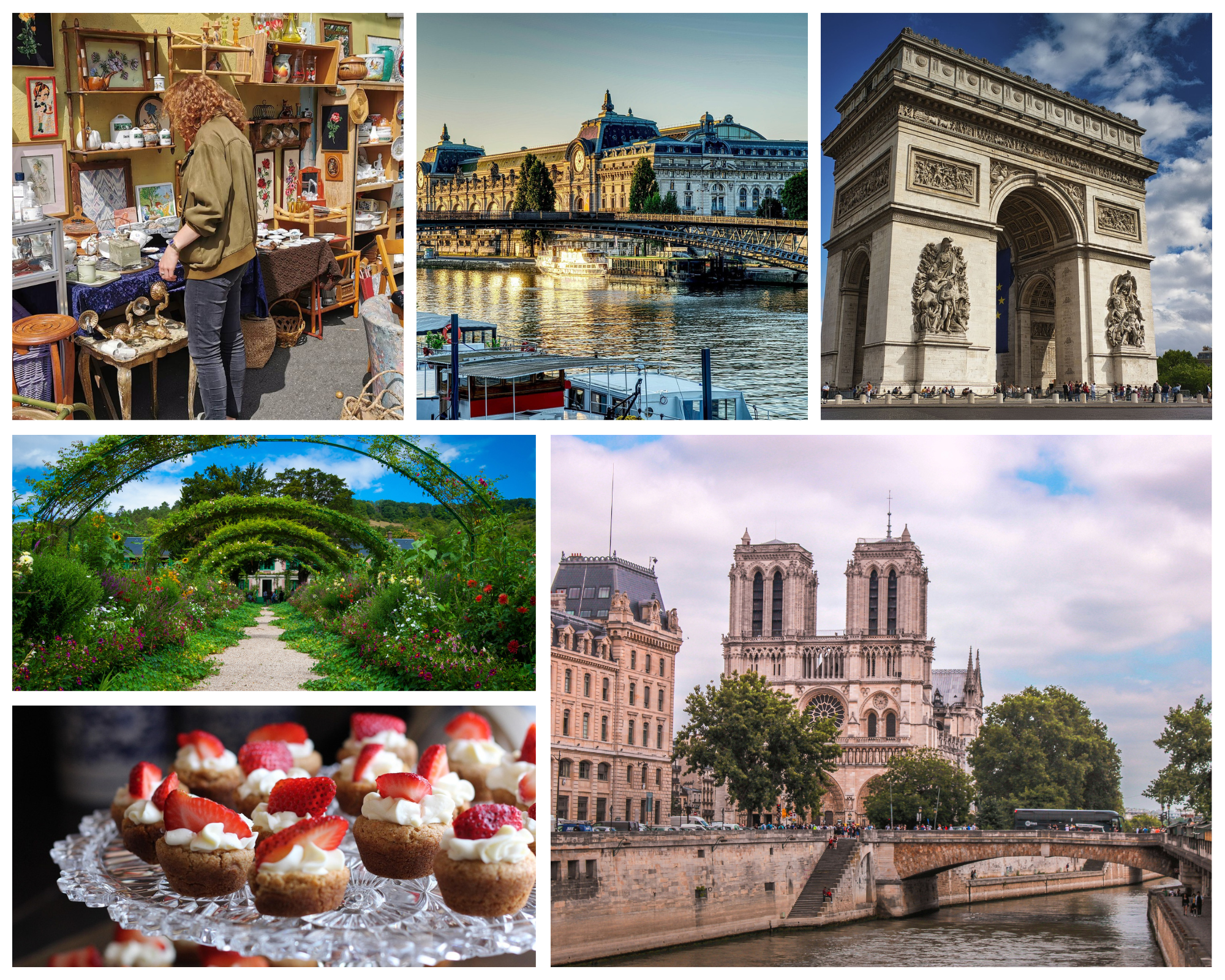 Odoo • Texte et Image